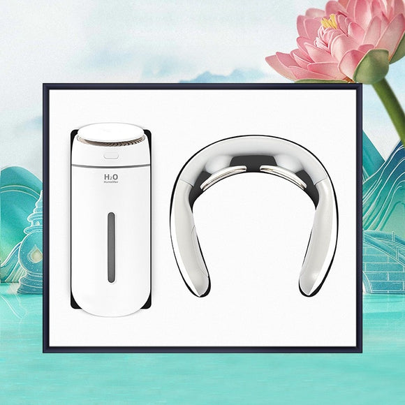 Humidifier  and Electromagnetic Pulse Neck Massager