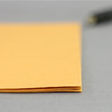 Kraft Paper Envelope for File