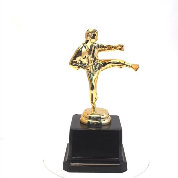 Martial Arts Taekwondo Winner Competition Gold Trophy Cup