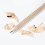 Natural Wood Grain Pencils Children's Stationery