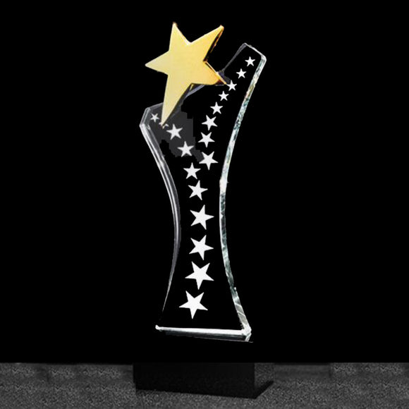 232263 Personalized Crystal Gold Star Award Plaque