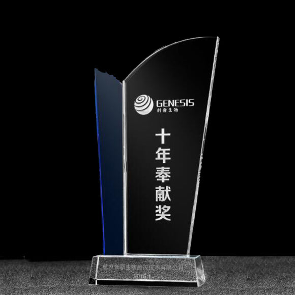 232269 Customize Recognition Crystal Award with Engraving