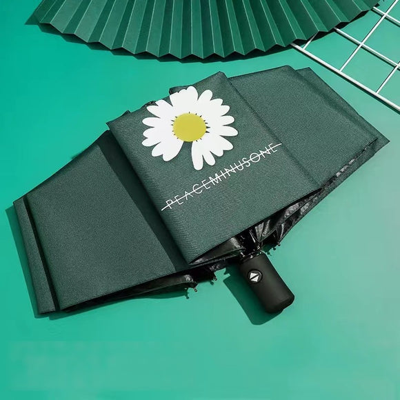 Auto Open & Close Collapsible Folding Small Compact Umbrella