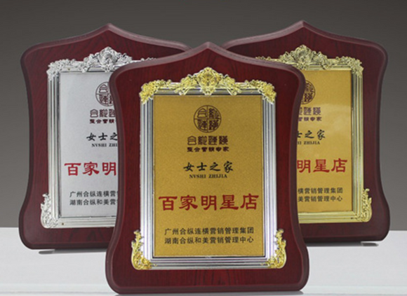 Custom Metal Award Plaques L1