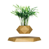 Levitating Plant Pot for Succulents