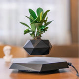Levitating Plant Pot for Succulents