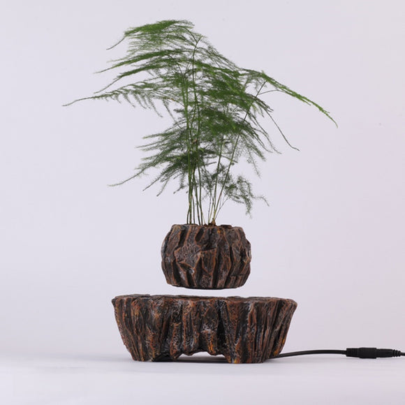 233606 Levitating Plant Pot for Succulents