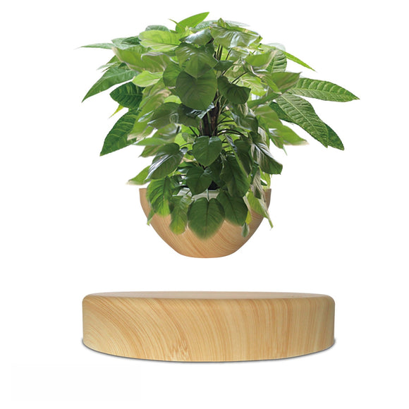 233607 Levitating Plant Pot for Succulents
